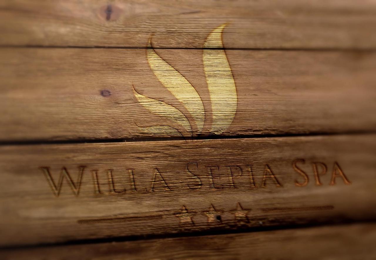 Willa Sepia Spa Висла Экстерьер фото