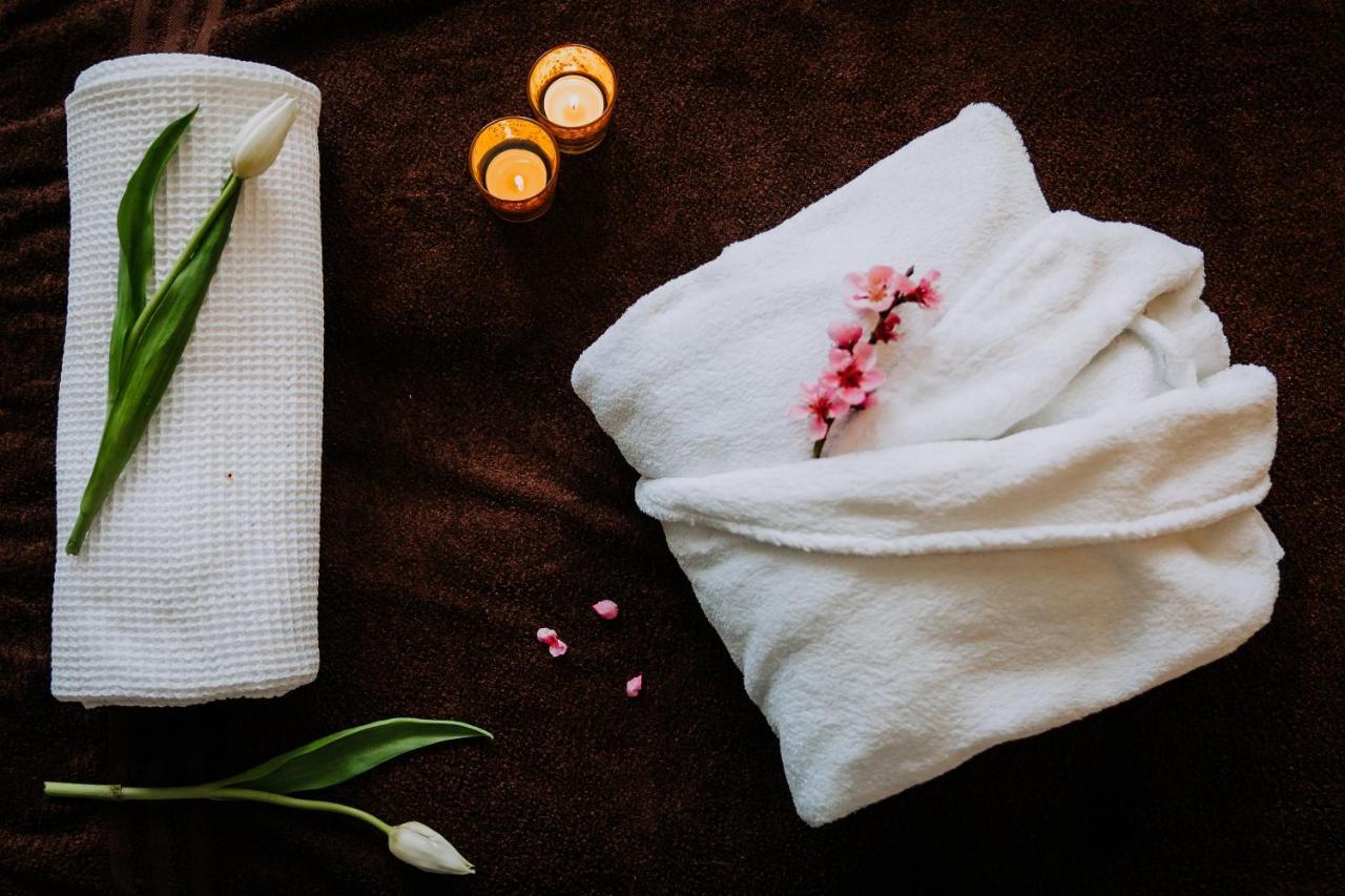 Willa Sepia Spa Висла Экстерьер фото